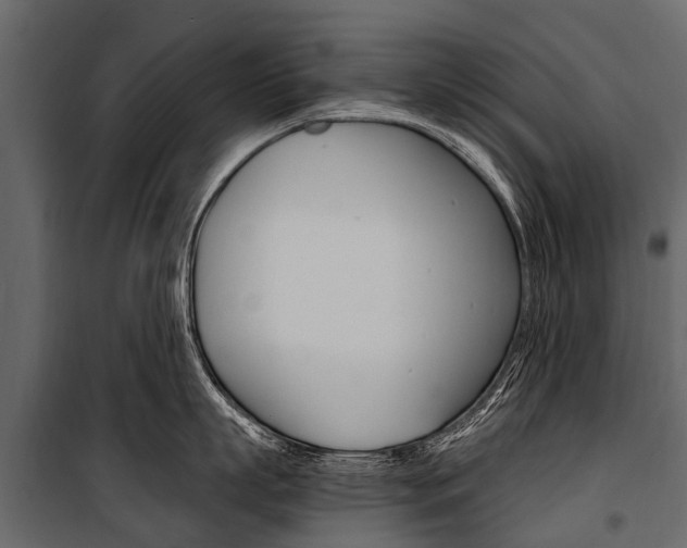 X0000100940863200806241201