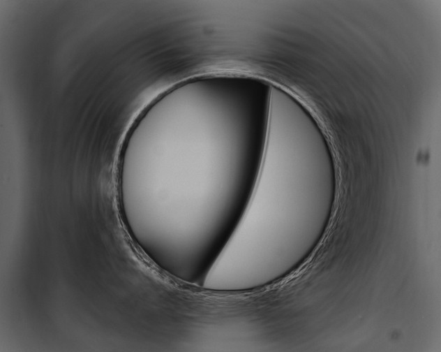 X0000100940864200806241201