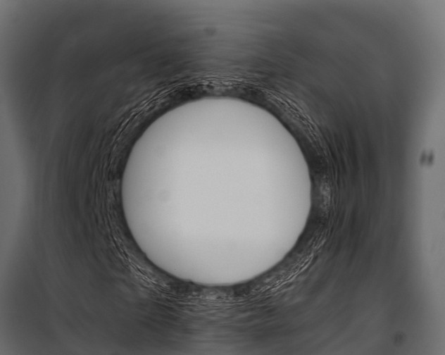 X0000100940865200806241200
