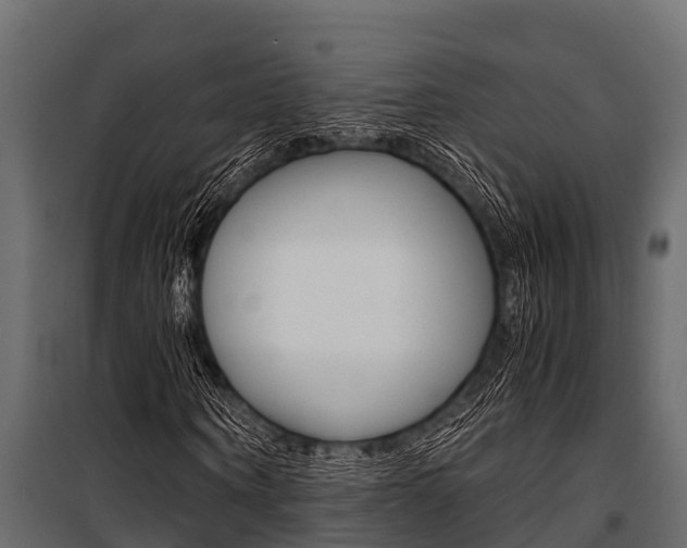 X0000100940866200806241200