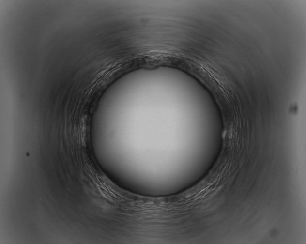 X0000100940868200806241200