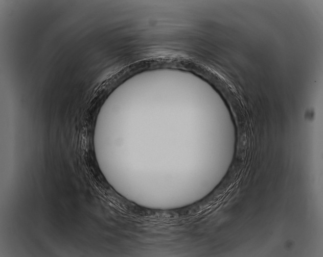 X0000100940869200806241200