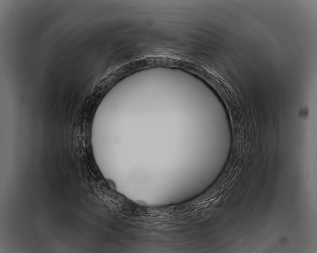X0000100940870200806241200