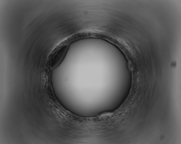X0000100940872200806241200