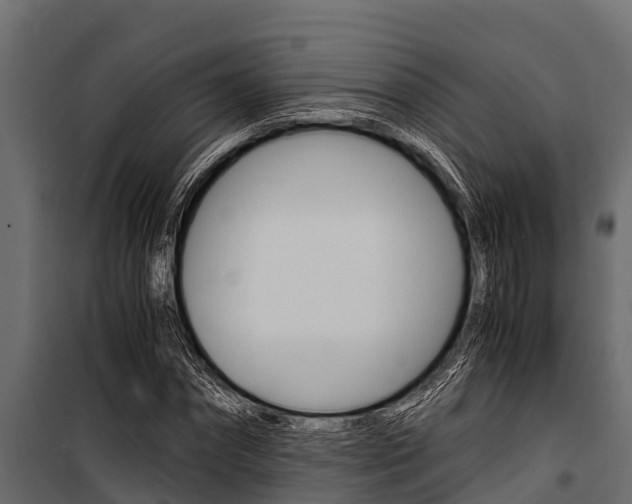 X0000100940874200806241200