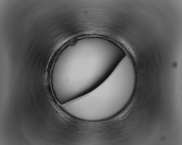 X0000100940876200806241200