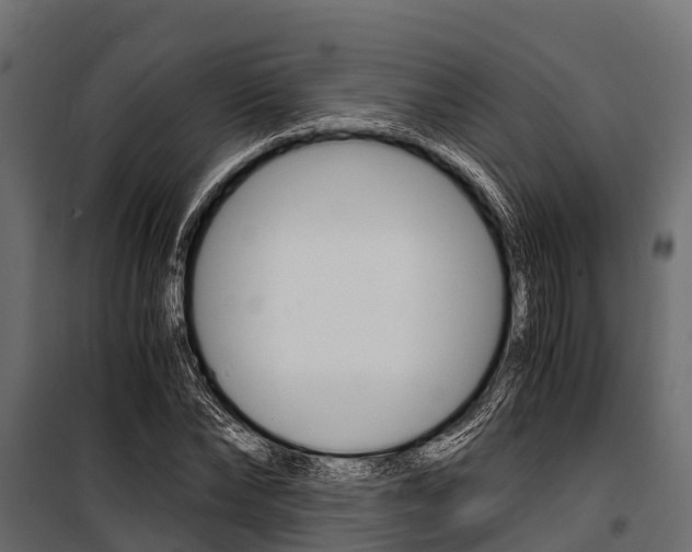 X0000100940878200806241200