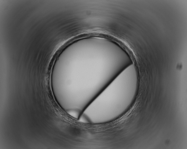 X0000100940879200806241200