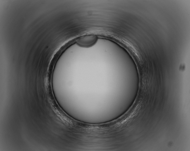 X0000100940880200806241200