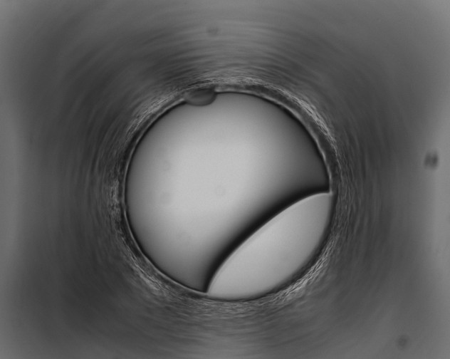 X0000100940881200806241200