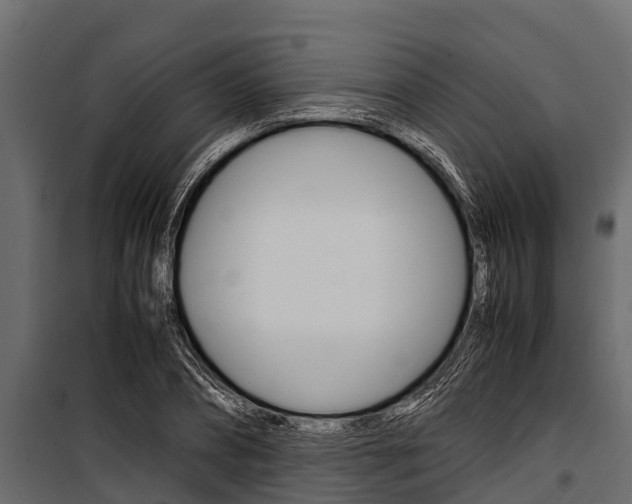 X0000100940882200806241200