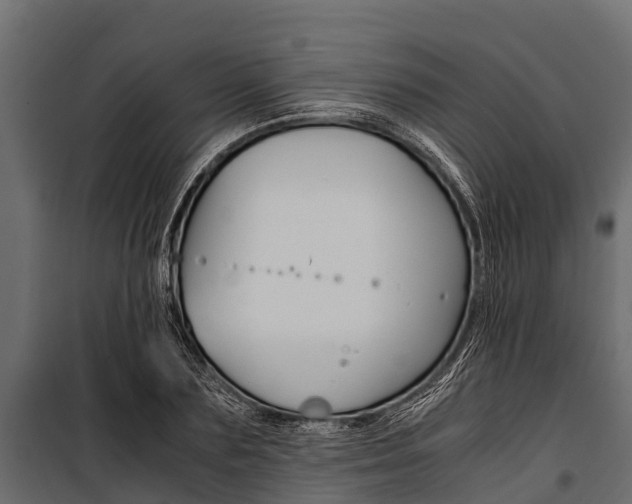 X0000100940883200806241200
