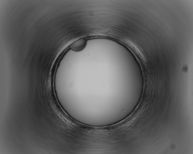 X0000100940884200806241200