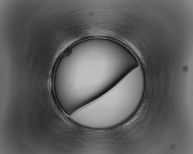 X0000100940885200806241159