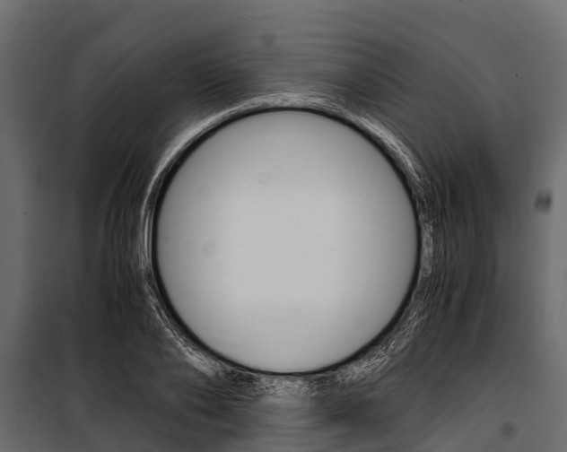 X0000100940886200806241159