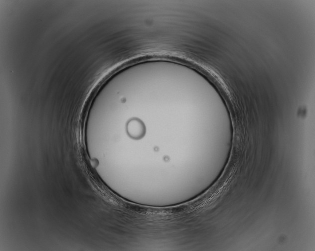 X0000100940887200806241159