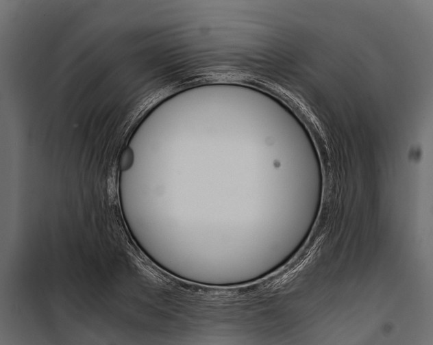 X0000100940889200806241159