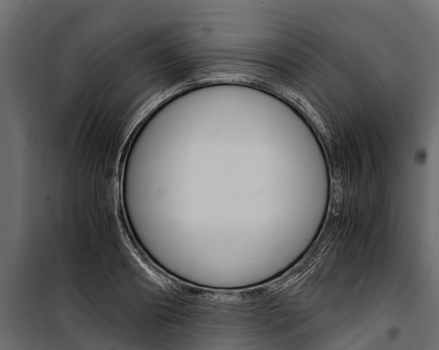 X0000100940890200806241159