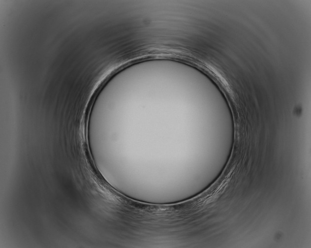X0000100940891200806241159
