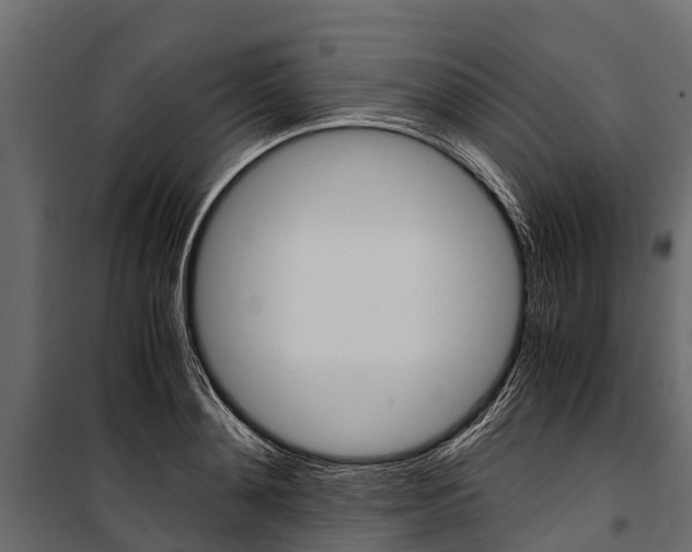 X0000100940892200806241159