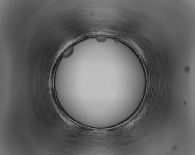 X0000100940893200806241159
