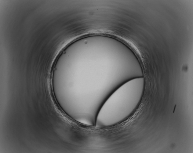 X0000100940895200806241159