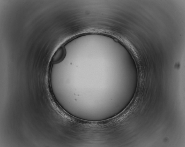 X0000100940896200806241159
