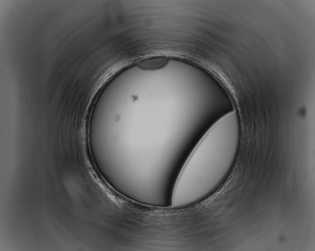 X0000100940898200806241159