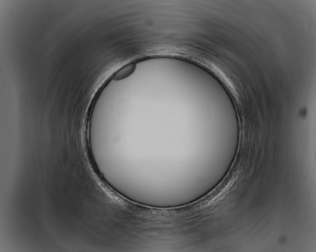 X0000100940901200806241159