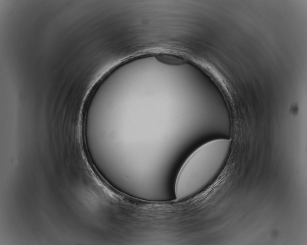X0000100940902200806241159
