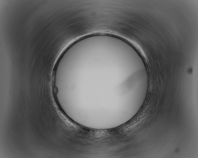 X0000100940903200806241159