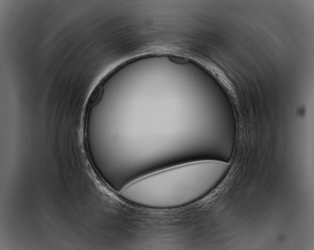 X0000100940904200806241159