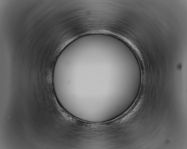 X0000100940905200806241159