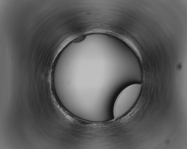 X0000100940906200806241159