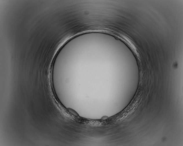 X0000100940907200806241159