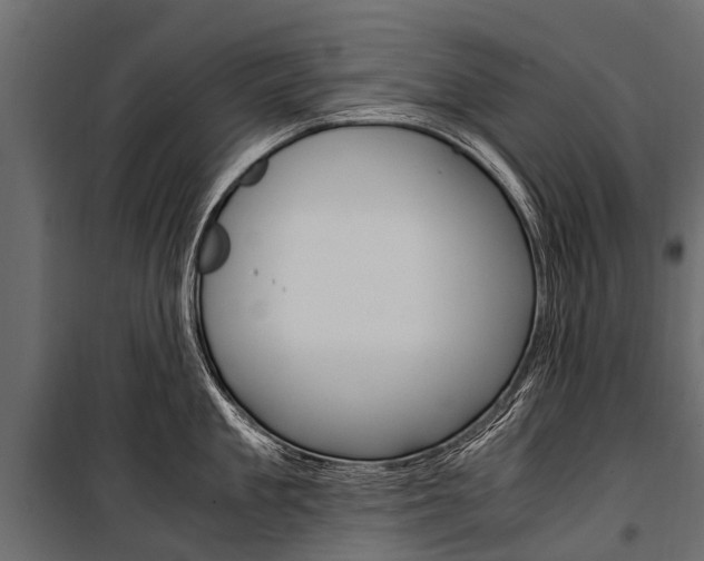 X0000100940909200806241159