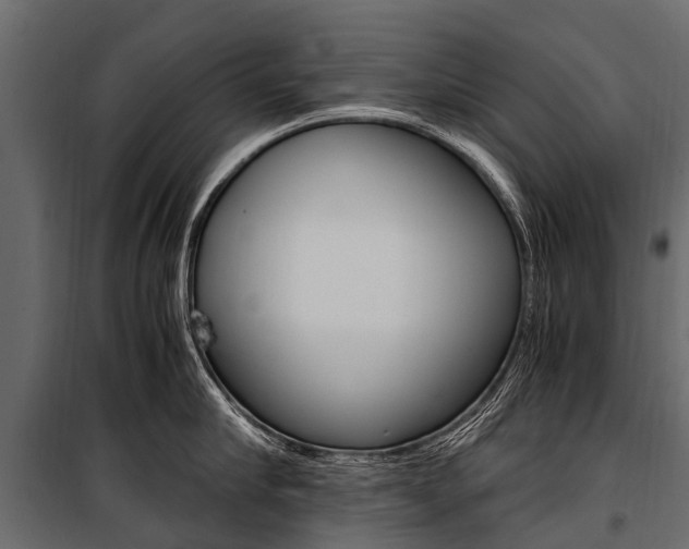 X0000100940910200806241159