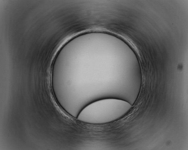 X0000100940911200806241159