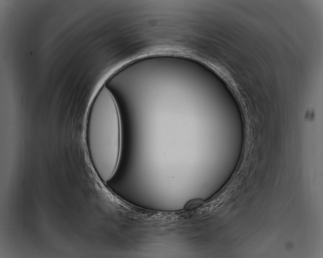 X0000100940912200806241159