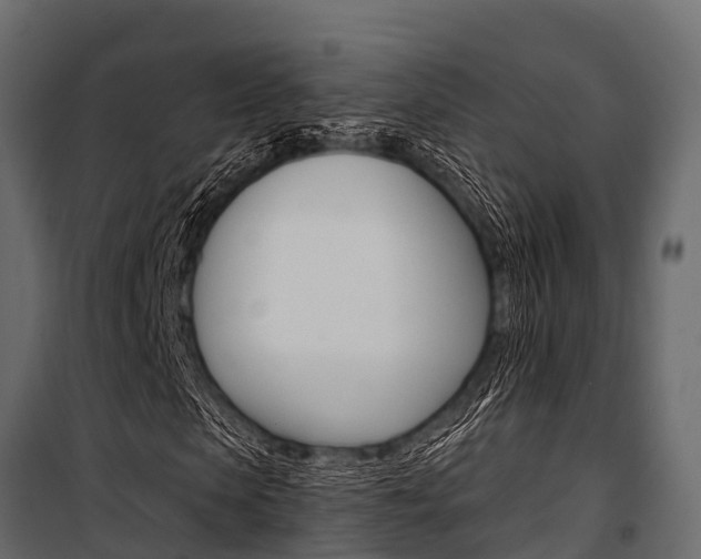 X0000100940913200806241158