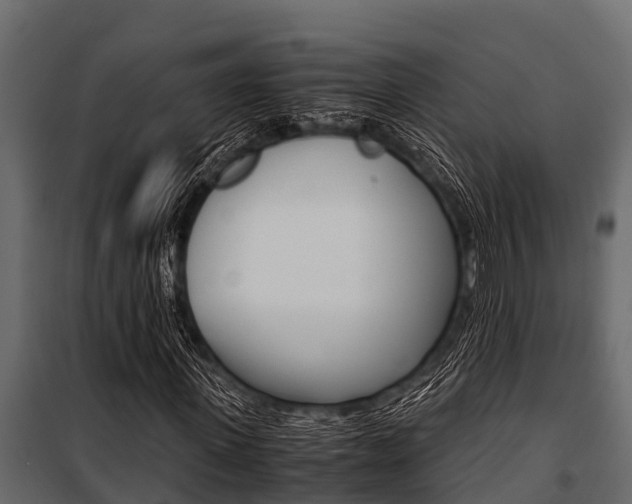 X0000100940915200806241158