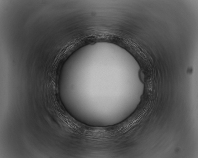 X0000100940916200806241158