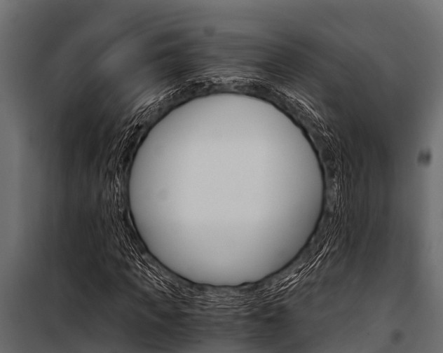 X0000100940917200806241158