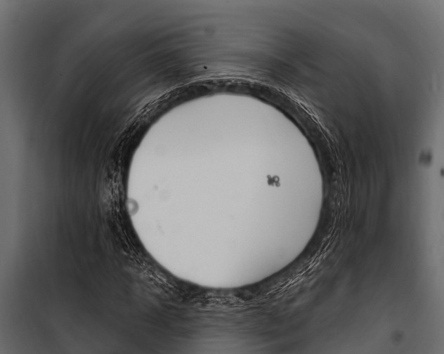 X0000100940918200806241158