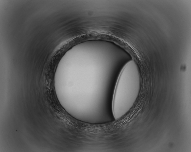 X0000100940919200806241158
