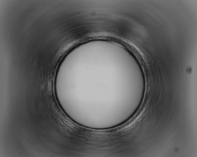 X0000100940921200806241158