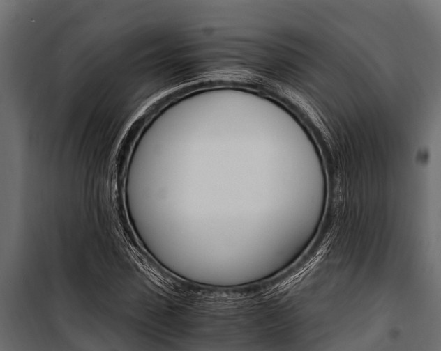 X0000100940923200806241158
