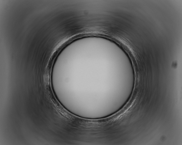 X0000100940925200806241158