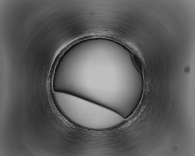 X0000100940928200806241159