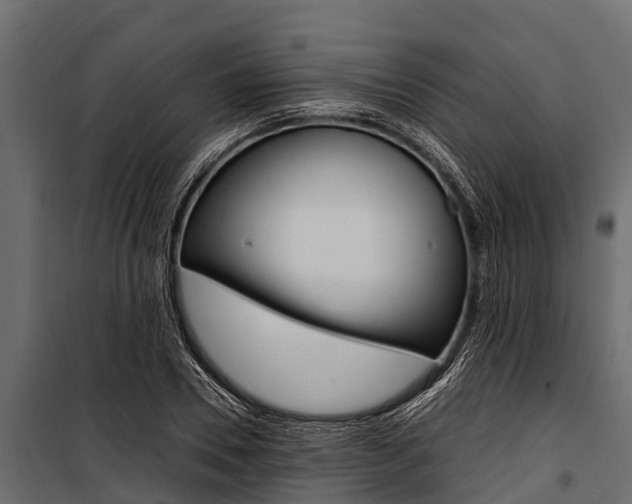 X0000100940930200806241159